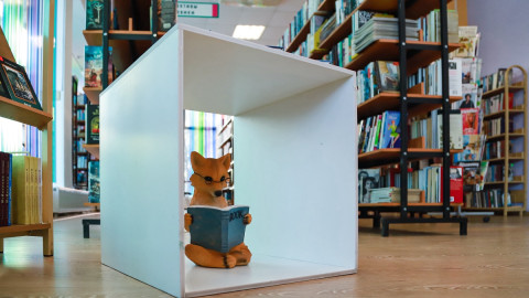 Книги на стеллажах