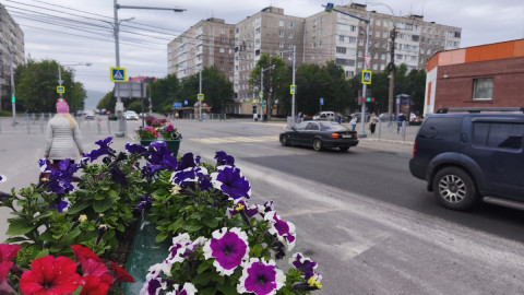 Цветы на Книповича