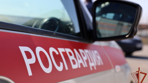 наклейка Росгвардия на машине
