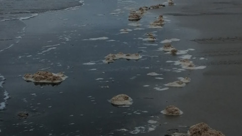 Пена волн
