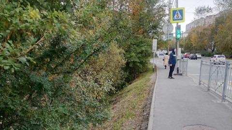 пешеход стоит возле светофора