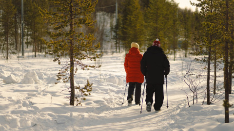 люди с палками