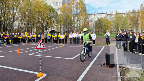изучение пдд