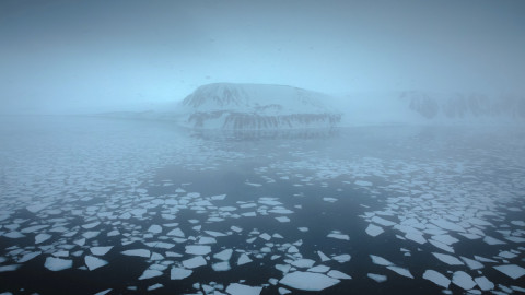 море