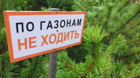 Не ходить
