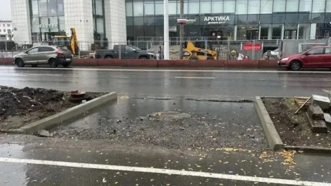 устройство пешеходника