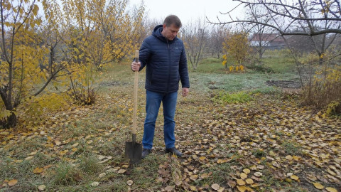 Дачник осматривает участок в октябре перед работой с землёй