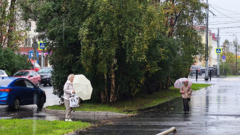 люди на улице с зонтами