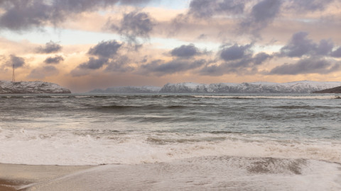 море