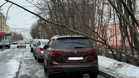 дерево упало на крышу машины