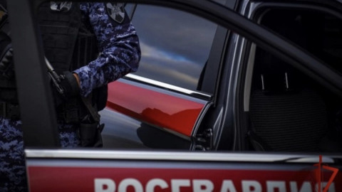 наклейка Росгвардия на машине