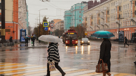 пешеходы с зонтами