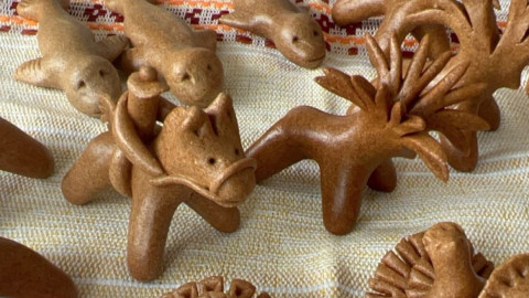 козули