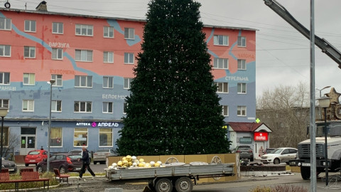 елка